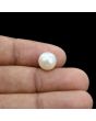 South Sea Pearl (Moti) 6.22 Carat 