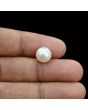 South Sea Pearl (Moti) 6.22 Carat 