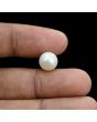 South Sea Pearl (Moti) 6.22 Carat 