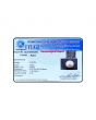 South Sea Pearl (Moti) 6.22 Carat 