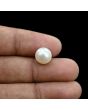 South Sea Pearl (Moti) 6.72 Carat 