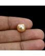 South Sea Pearl (Moti) 6.2 Carat 