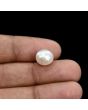 South Sea Pearl (Moti) 6.2 Carat 