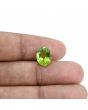 Afghani Peridot 4.13 Carat 