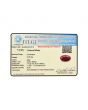 Ruby - 4.95 Carat 
