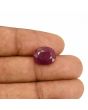 Ruby - 5.77 Carat 