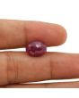 Ruby - 7.52 Carat 