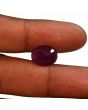 Ruby - 7.6 Carat 