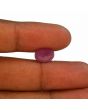 Ruby - 4.73 Carat 