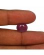 Ruby - 8.66 Carat 