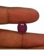 Ruby - 8.66 Carat 