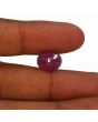 Ruby - 8.66 Carat 