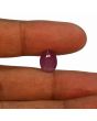 Ruby - 4.97 Carat 