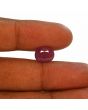 Ruby - 7.06 Carat 