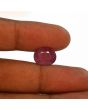 Ruby - 7.11 Carat 