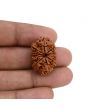 10 Mukhi Rudraksha (Nepal) 26.35 MM