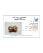 Natural 11 Mukhi (Eleven Mukhi) Gauri Shankar Nepali Rudraksha GJSPC Certified 37.24 M.M.