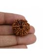 8 Mukhi Rudraksha (Nepal) 23.92 MM 