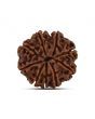 9 Mukhi Rudraksha (Nepal) 24.15 MM