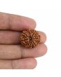 9 Mukhi Rudraksha (Nepal) 21.33 MM