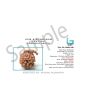 Ganesh Rudraksha GJSPC Certified