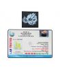Garbh Gauri Rudraksha Nepal (GJSPC Certfied) 23.62 M.M.