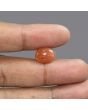 Sunstone 5.72 Carat 