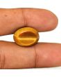 Natural Tiger Eye Gemstone Cts 12.08 Ratti 13.29