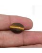 Natural Tiger Eye Gemstone Cts 10.63 Ratti 11.69