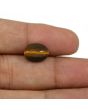 Natural Tiger Eye Gemstone Cts 6.11 Ratti 6.72
