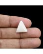 Japani White Coral 9.95 Carat 