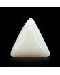 Japani White Coral 11.1 Carat 