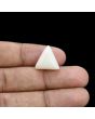 Japani White Coral 11.1 Carat 