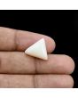 Japani White Coral 11.1 Carat 