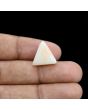 Japani White Coral 11.1 Carat 