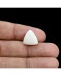Japani White Coral 9.56 Carat 