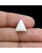 Japani White Coral 5.41 Carat 