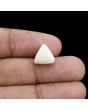 Japani White Coral 6.66 Carat 