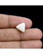 Japani White Coral 6.66 Carat 