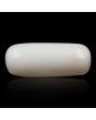 Japani White Coral 9.15 Carat 