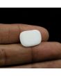 Japani White Coral 9.76 Carat 