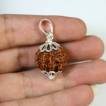 8 Mukhi Rudraksha Silver Pendant (Nepal)