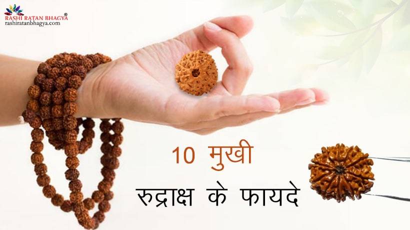 10 मुखी रुद्राक्ष के फायदे | 10 Mukhi Rudraksha Benefits