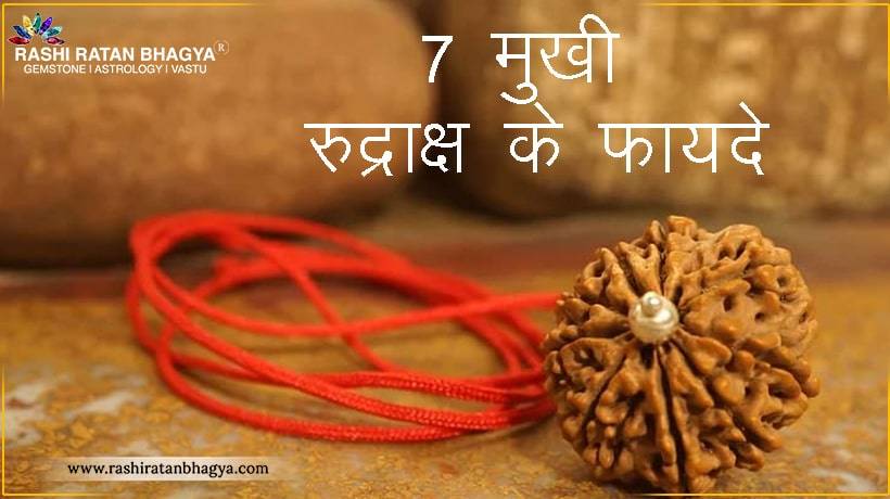 7 मुखी रुद्राक्ष: व्यापार एवं धन बढ़ाने के लिए