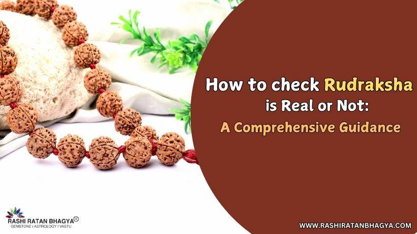 How to Check and Identify Original Rudraksha?
