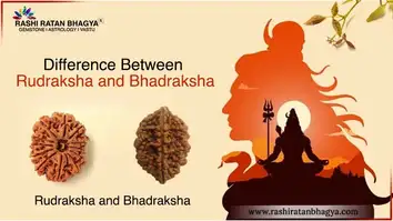 Rudraksha and Bhadraksha: Learn the Differences
