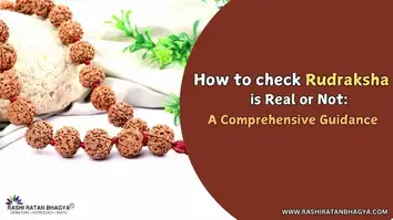 How to Check and Identify Original Rudraksha?