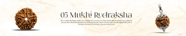 5 Mukhi Rudraksha