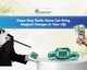 Know How Pachu Stone Can Bring Magical Changes In Your Life