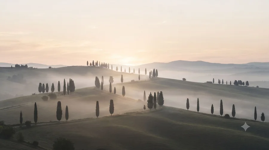 MORNING quote visual